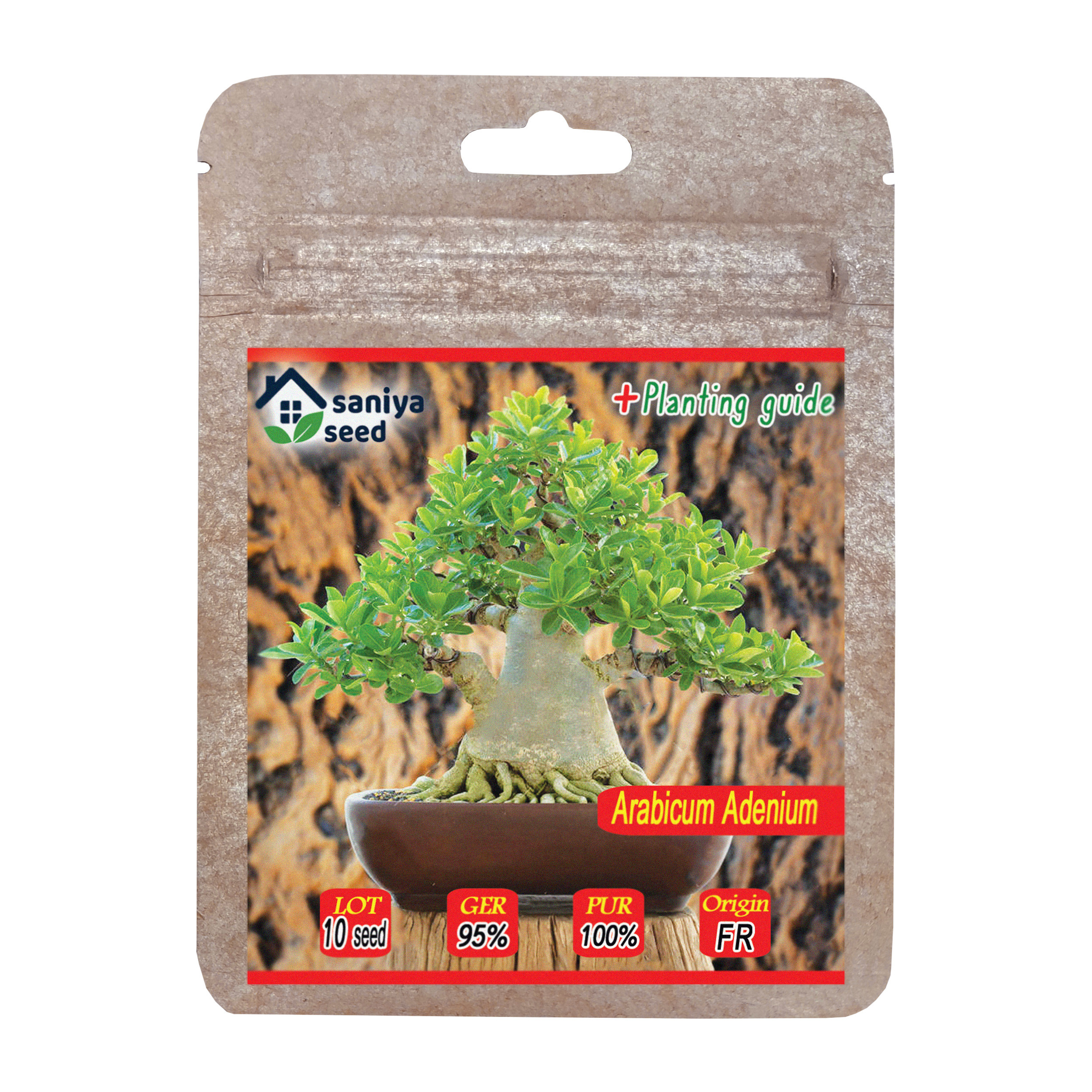 بذر بنسای آدنیوم عربیکوم سانیا سید مدل ss10 بذر بنسای آدنیوم عربیکوم سانیا سید مدل ss10