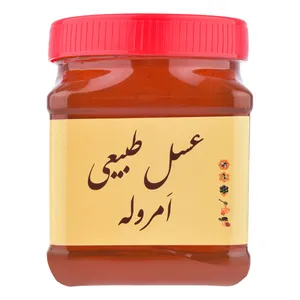 عسل طبیعی گشنیز اَمروله - 1000 گرم