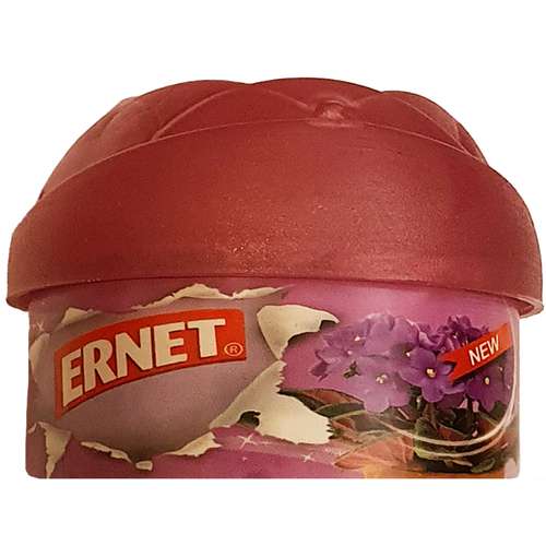 خوشبو کننده هوا ارنت مدل B-04 وزن 100 گرم