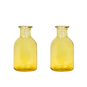 گلدان دکوری مدل شیشه ای رنگی نسیم کد 02 بسته دو عددی