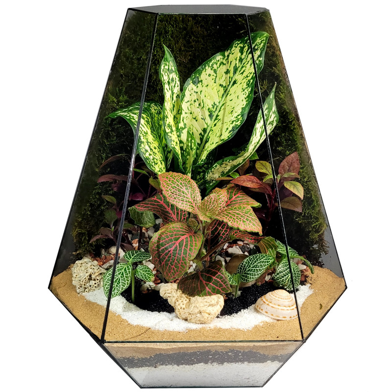 تراریوم مدل رویال سرکج کد 02