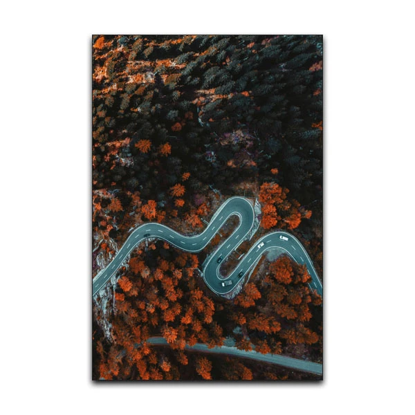 تابلو شاسی گوفی مدل طبیعت جاده در کوهستان طرح Nature Jungle Road کد MAR54