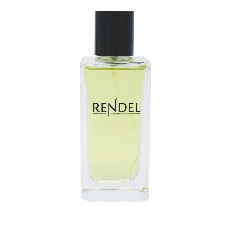 ادو پرفیوم مردانه رندل مدل SILVER SCENT حجم 100 میلی لیتر ادو پرفیوم مردانه رندل مدل SILVER SCENT حجم 100 میلی لیتر