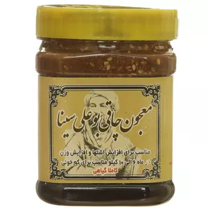 معجون چاقی بوعلی سینا - 500 گرم بسته 2 عددی