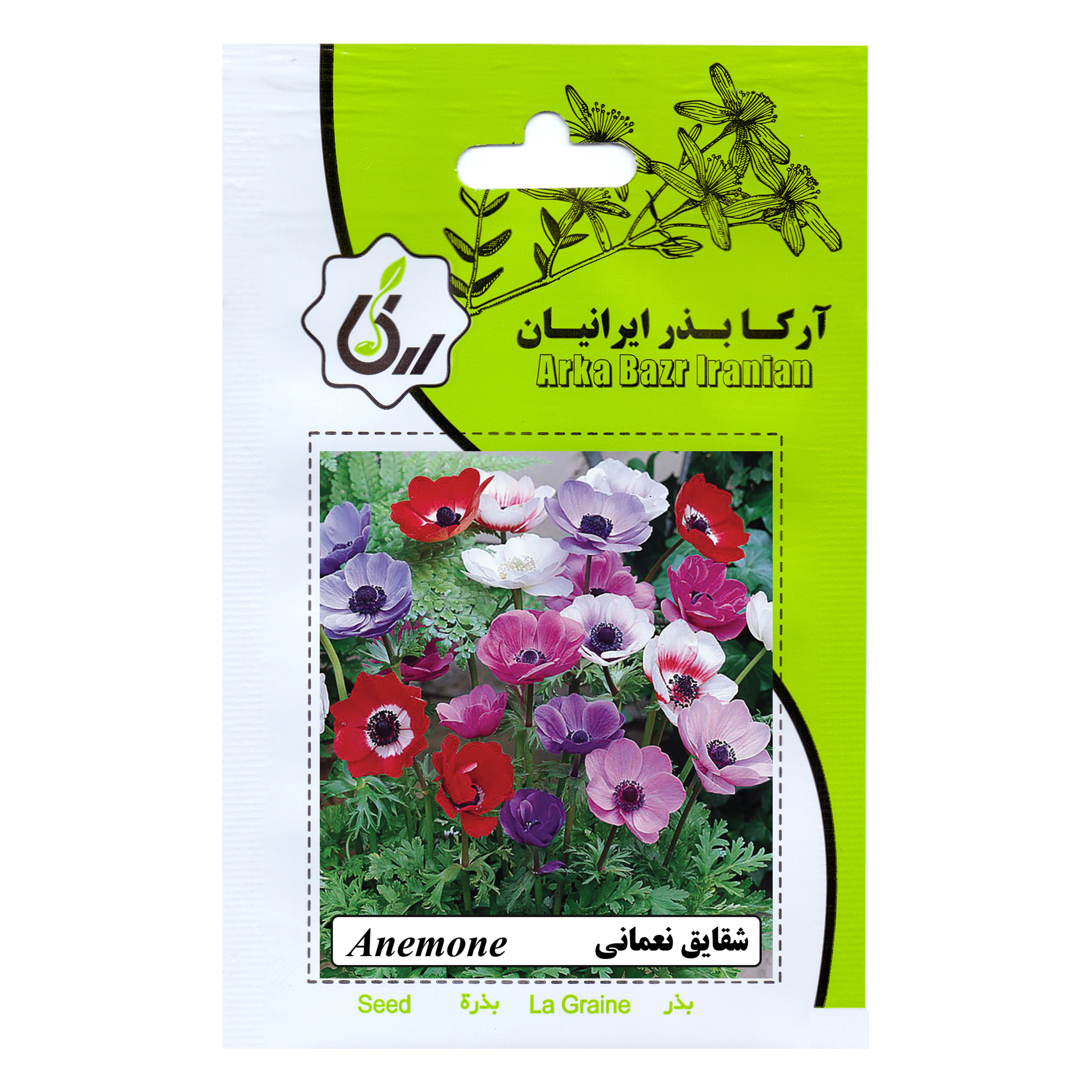 بذر گل شقایق نعمانی آرکا بذر ایرانیان کد 95-ARK
