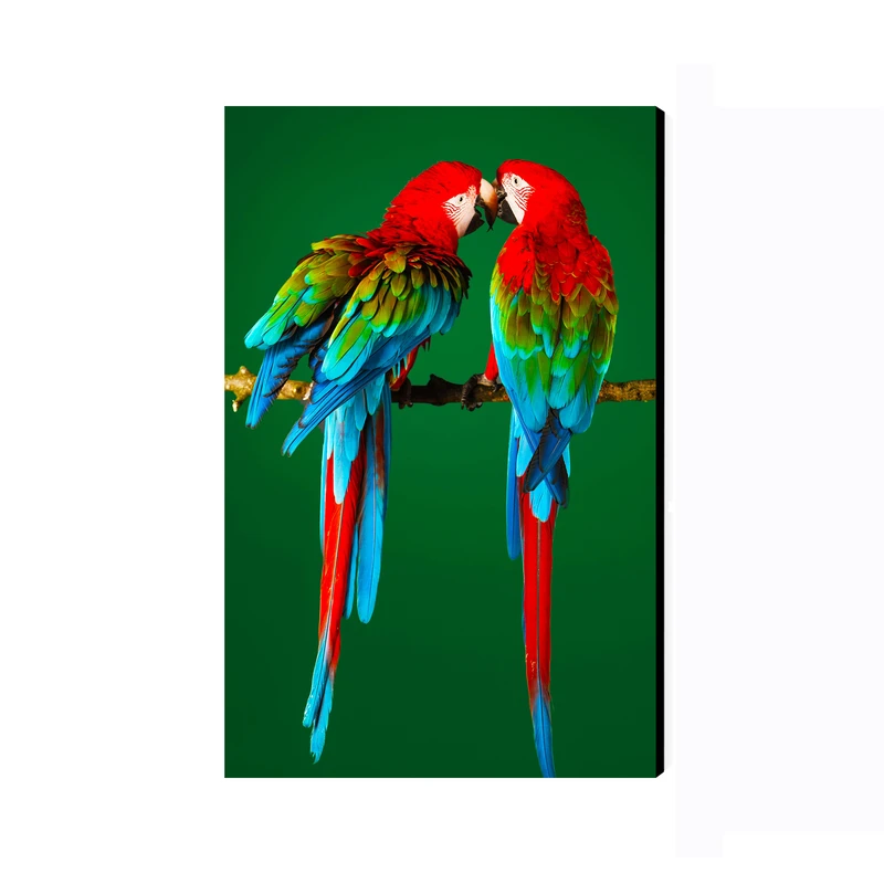 تابلو شاسی عرش مدل فانتزی طوطی کد As3667