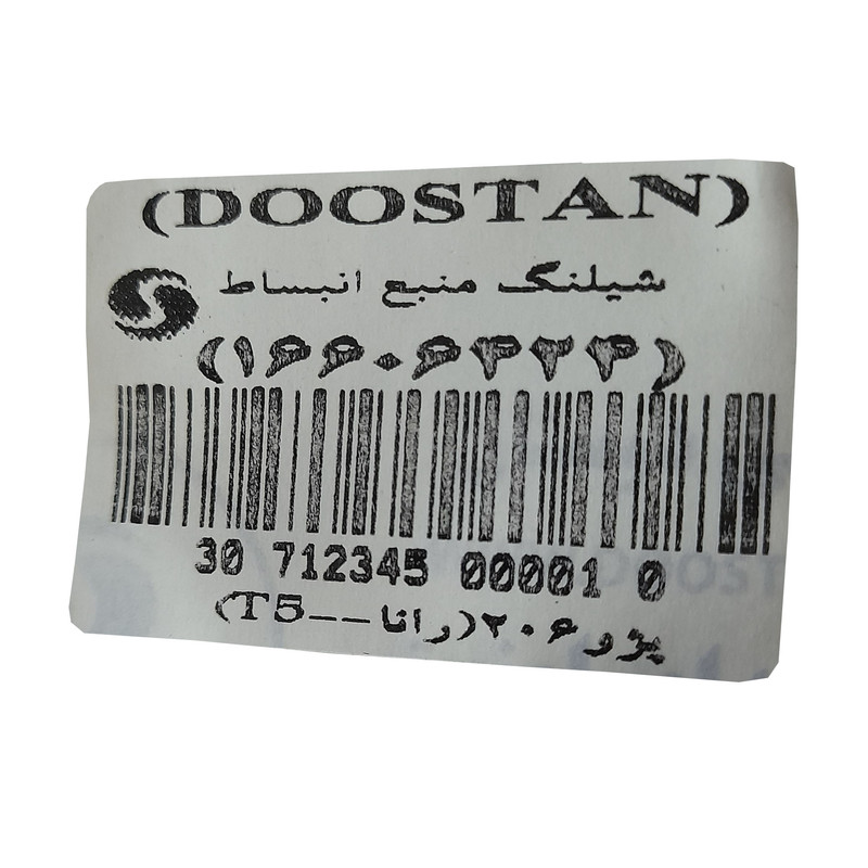 شیلنگ منبع انبساط دوستان مدل 6424 مناسب برای 206 رانا تیپ 5