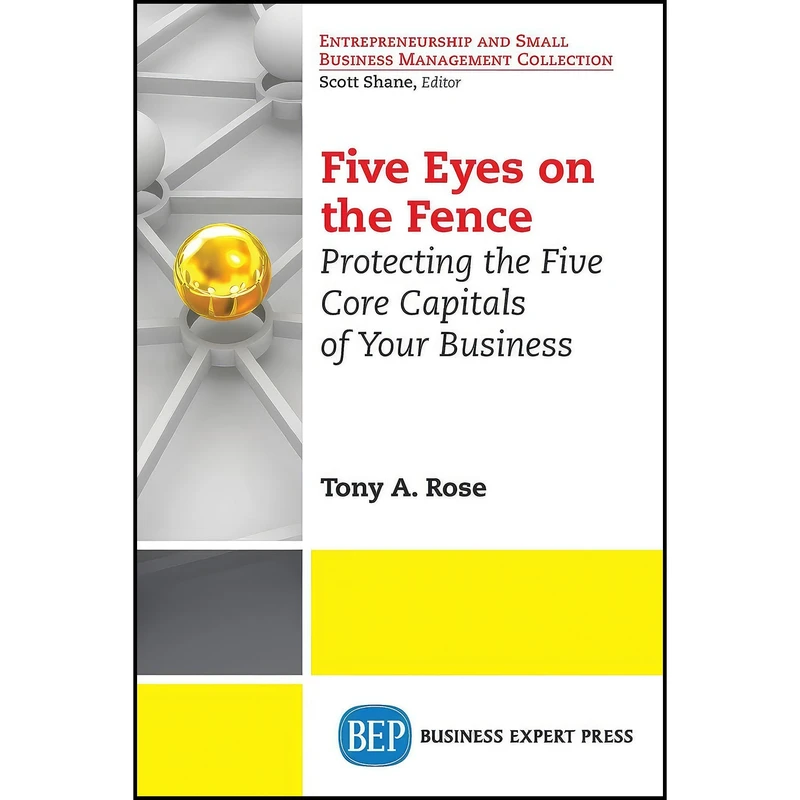 کتاب Five Eyes On the Fence اثر Tony Rose انتشارات Business Expert Press