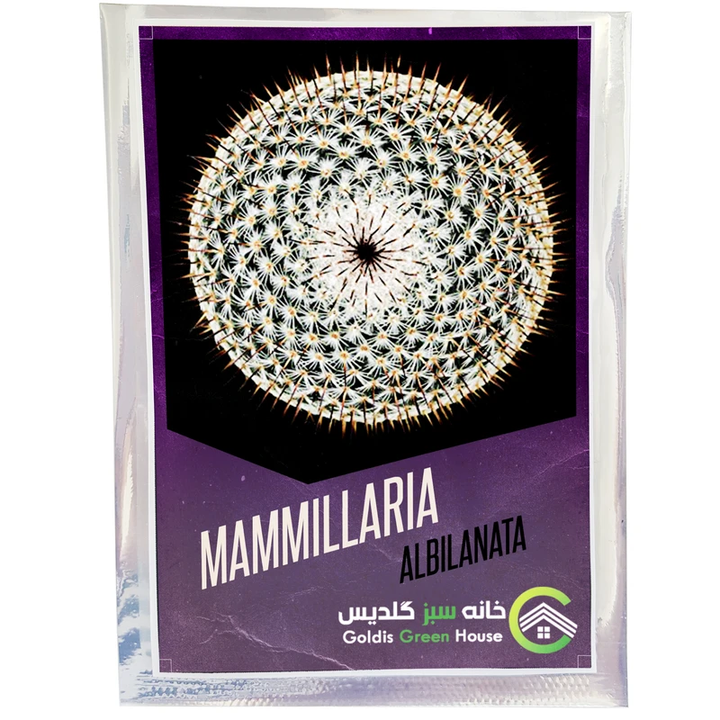 بذر مامیلاریا آلبیلاناتا خانه سبز گلدیس کد 14