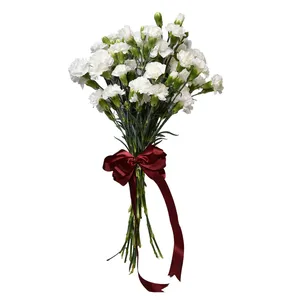 شاخه گل میخک مینیاتوری سفید دسته 9 عددی