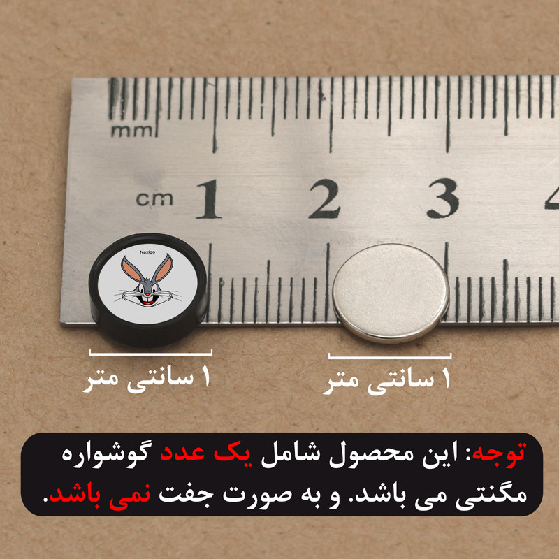 پیرسینگ گوش ناکسیگو مدل شب تاب طرح باگز بانی کد PM6587 پیرسینگ گوش ناکسیگو مدل شب تاب طرح باگز بانی کد PM6587