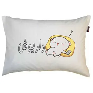 بالش مد برتر مدل نوجوان پسرانه طرح اسم داریوش کد 1