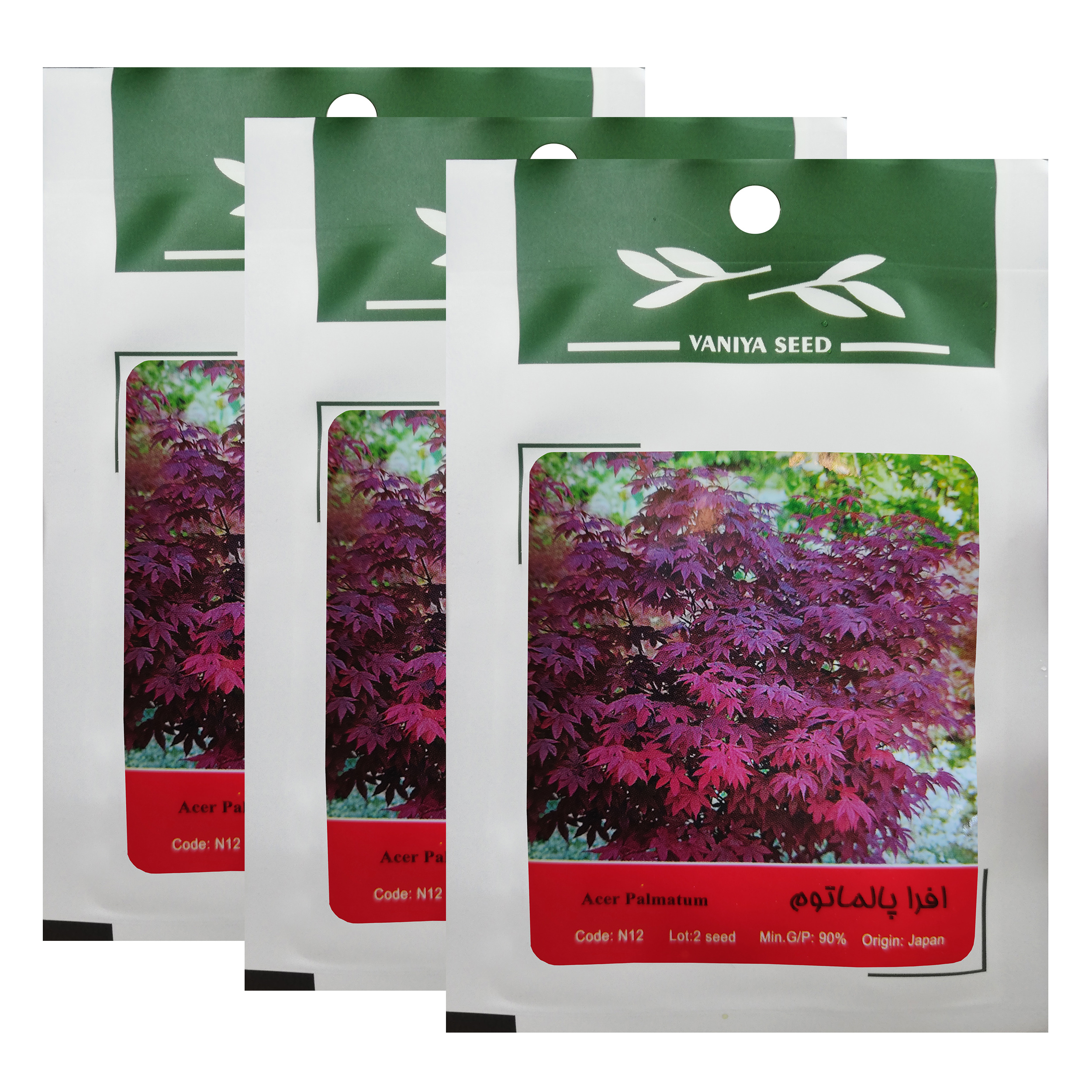 بذر بنسای افرا پالماتوم وانیا سید کد N12 مجموعه 3 عددی