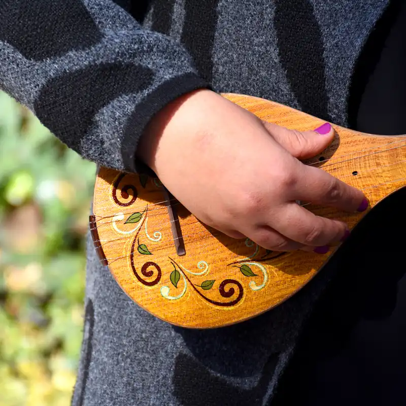 سه تار ایران ساز مدل آرام