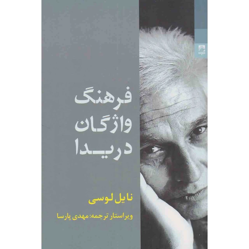 کتاب فرهنگ واژگان دریدا اثر نایل لوسی انتشارات شوند