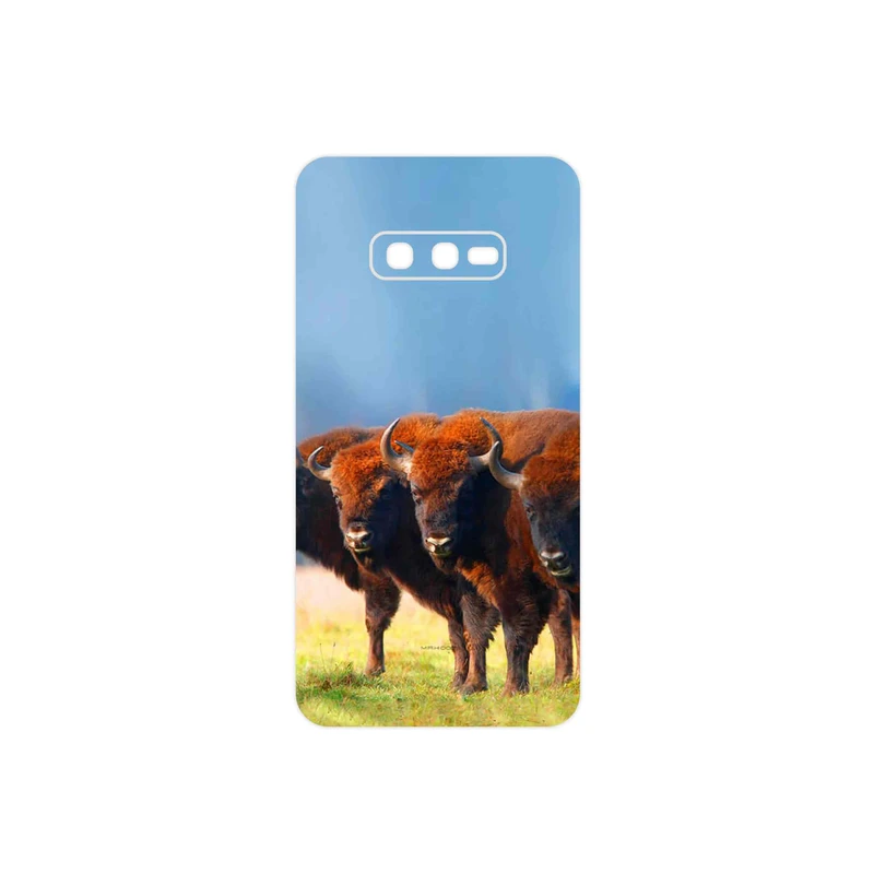 برچسب پوششی ماهوت مدل Buffalo مناسب برای گوشی موبایل سامسونگ Galaxy S10e