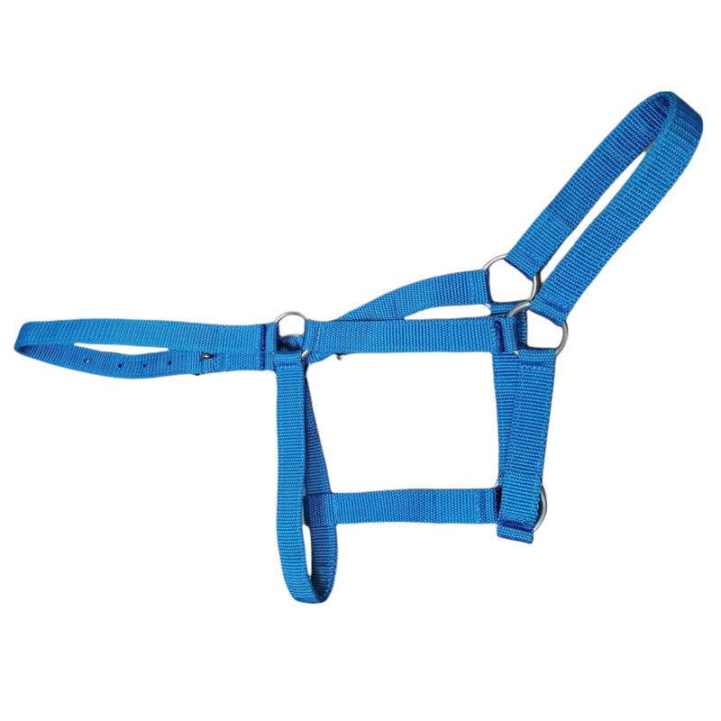 کله گیر اسب کد L01 به همراه طناب