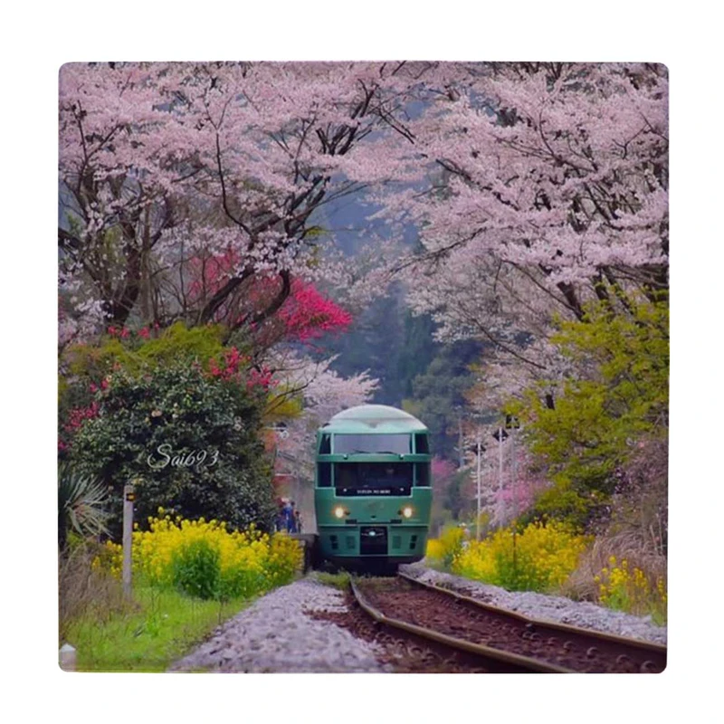  زیر لیوانی طرح قطار و شکوفه های بهاری کد    4069401_2682