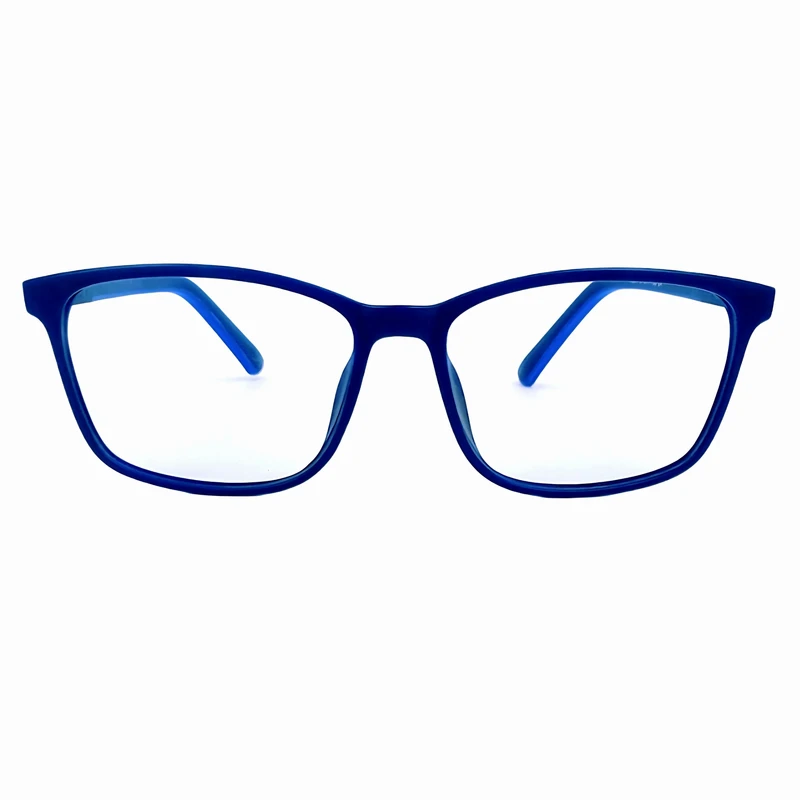 عینک محافظ چشم رایوال مدل بلوکنترل کد1504c4