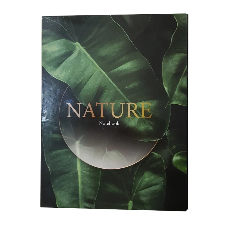 دفتر کلاسوری پاپکو مدل PN-6180 کد 121