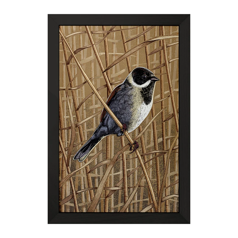 تابلو خندالو مدل پرنده کد F2862