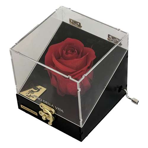 جعبه موزیکال اینو دلا ویتا طرح گل رز جاودان مدل ملودی سوغاتی 