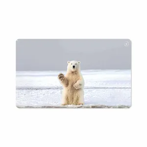 MAHOOT Polar bear Cover Sticker for Samsung Galaxy Tab A 10.1 2019 T515