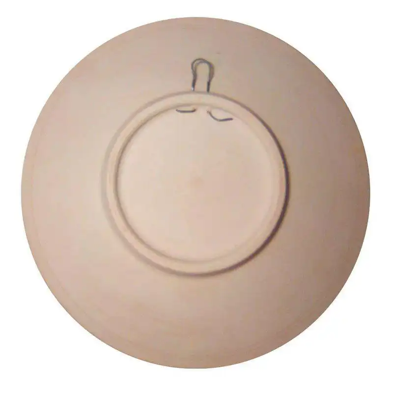 بشقاب دیوارکوب سفالی طرح بوته گل کد BNH01