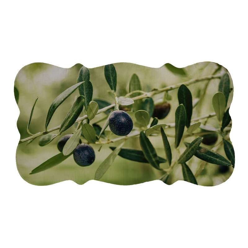 پادری مدل دالبر کد 6370 سایز 110×60 سانتی متر پادری مدل دالبر کد 6370 سایز 110×60 سانتی متر
