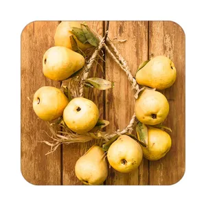 زیر لیوانی کاکتی طرح میوه مدل mp22744