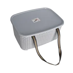 سبد پیک نیک آریاسام کد 260