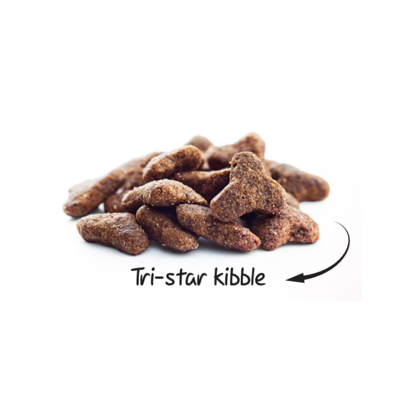 غذا خشک گربه بالغ سولواس مدل عقیم شده طعم مرغ وزن 12 کیلو گرم