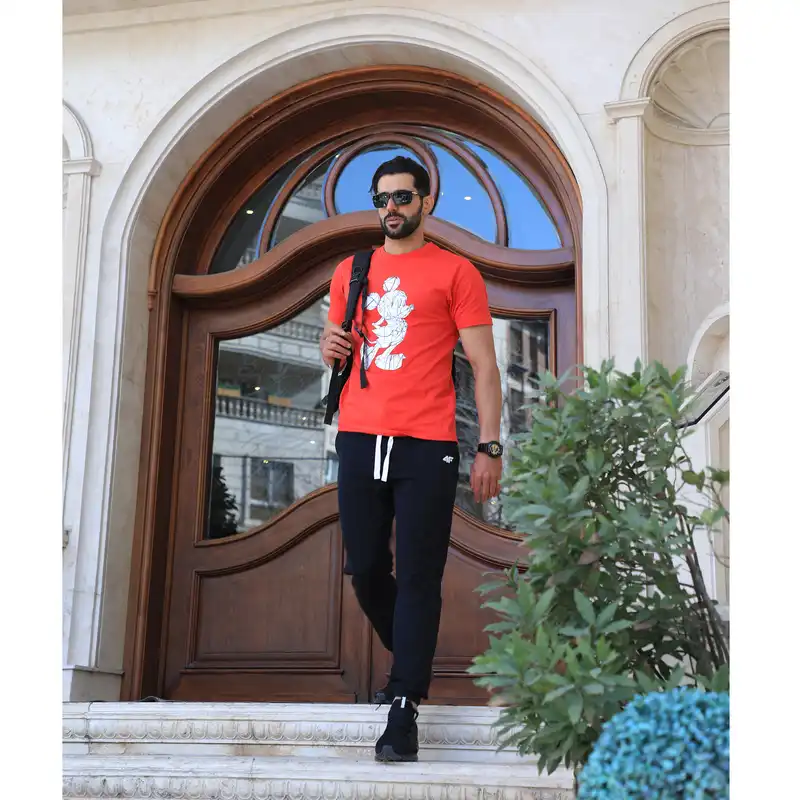 تی شرت آستین کوتاه مردانه رد ارو مدل 1032-072