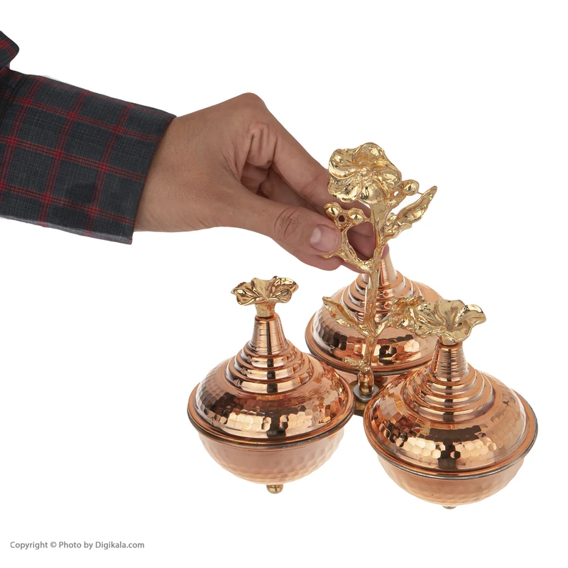 عکس شماره 2 : اردورخوری مسی کد 001