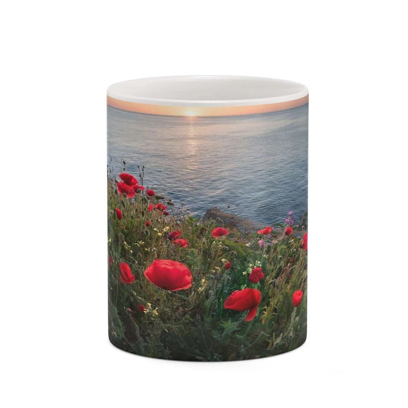 ماگ کاکتی مدل منظره کد mgh18292