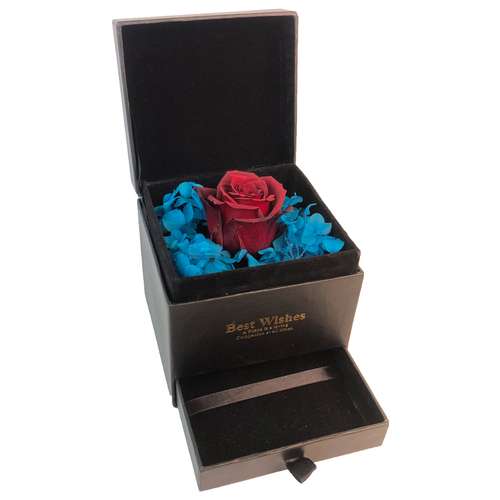 گل رز جاودان مدل هورتانسیا کد bestwesh 002