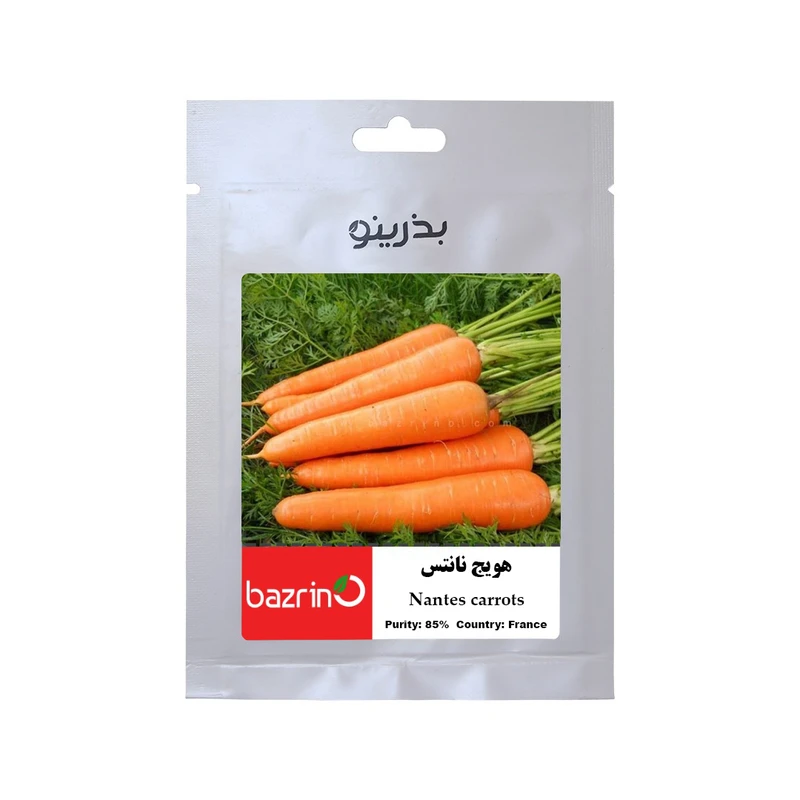 بذر هویج نانتیس بذرینو کد BZNO-170