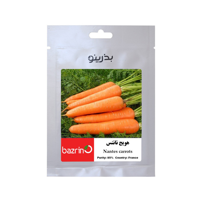 بذر هویج نانتیس بذرینو کد BZNO-170