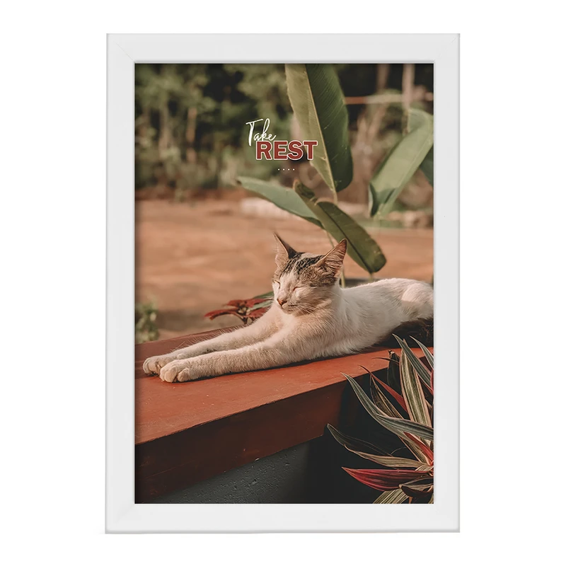 تابلو خندالو مدل گربه کد F10788