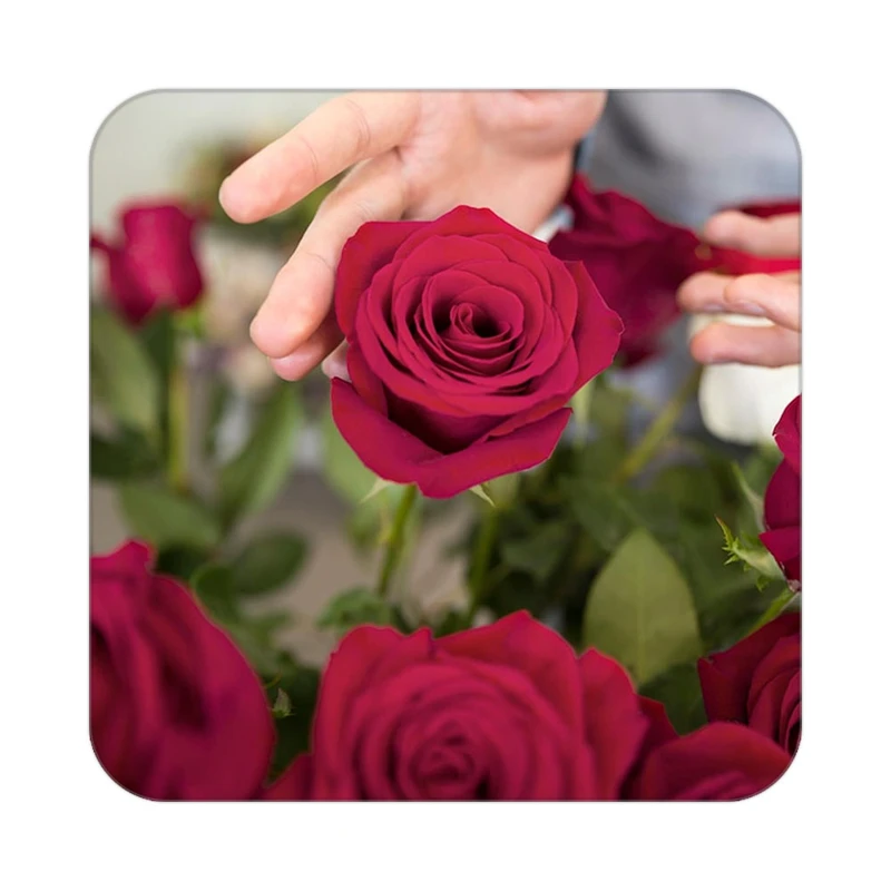 زیر لیوانی کاکتی طرح گل مدل mp18331