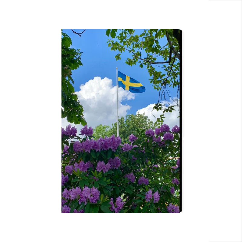 تابلو شاسی عرش مدل فانتزی منظره پرچم سوئد کد As2044