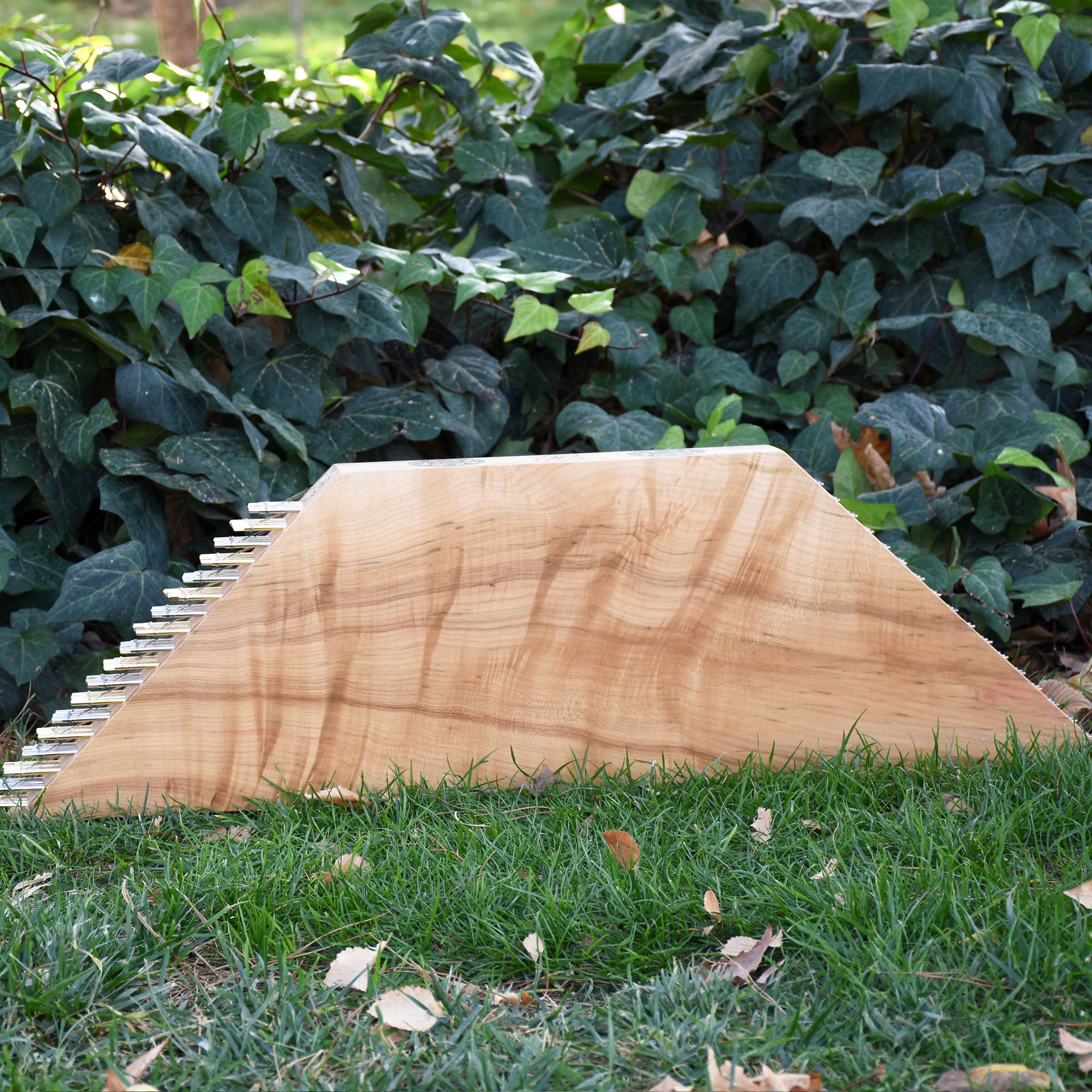 سنتور ایران ساز مدل دیوان