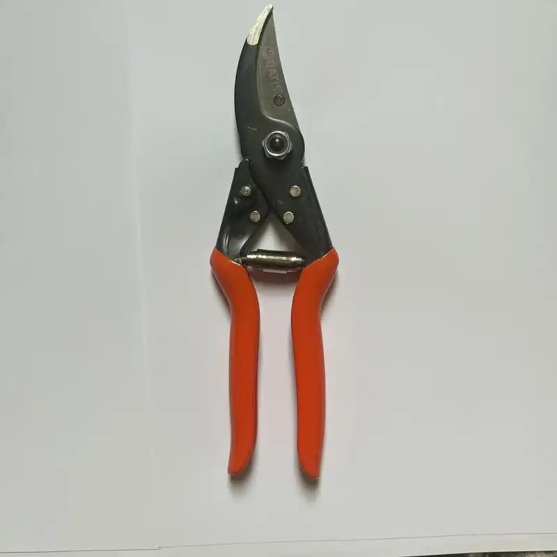 قیچی باغبانی داتیس مدل 4542