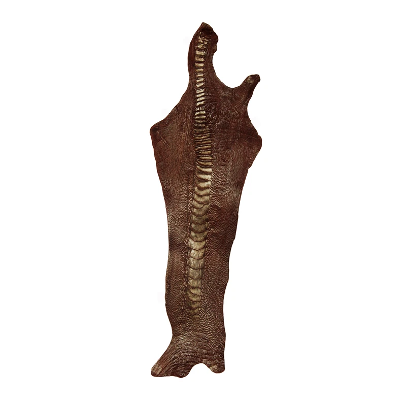 چرم طبیعی مدل ساق شتر مرغ کد OL105