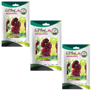 بذر گل ختمی پرپر زرشکی گلبرگ پامچال کد GPF-243 مجموعه 3 عددی