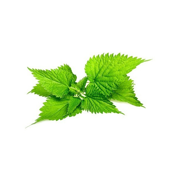 عرق گزنه  گلمهر  - 950 میلی لیتر