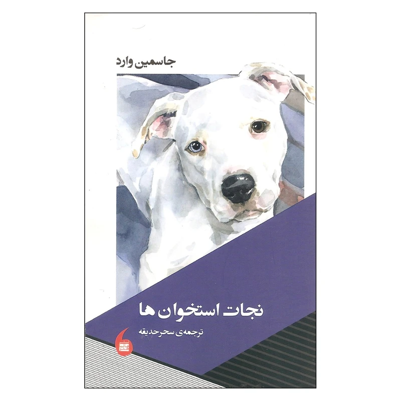 کتاب نجات استخوان ها اثر جاسمین وارد نشر مانیا هنر