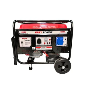 موتور برق بنزینی 15 اسب بخار ایزی پاور مدل EP8200ED2