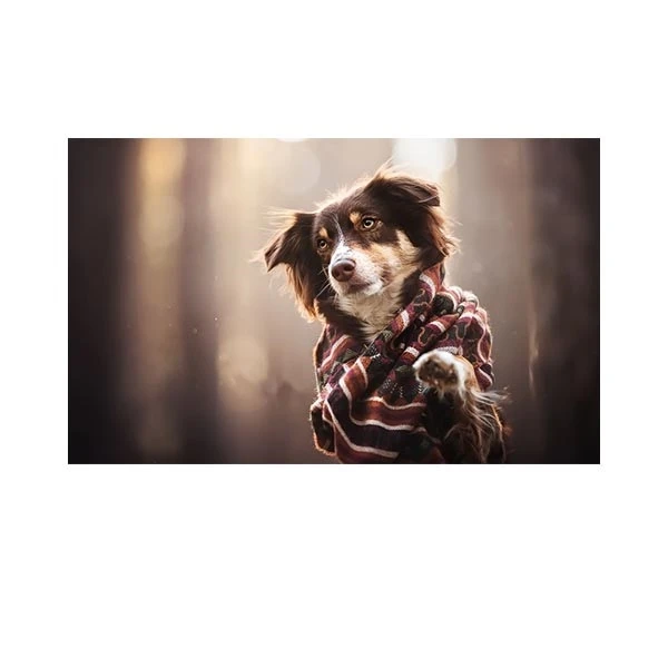    پادری طرح حیوانات کد M35M001-MA0100 سایز 76x46 سانتی متر