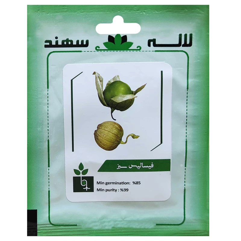 بذر فیسالیس سبز لاله سهند کد LSP-078